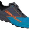 Dynafit Alpine -Schuhgeschäft dynafit alpine magnet frost 0 11