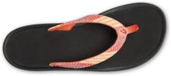 Olukai Kulapa Kai Women's -Schuhgeschäft olukai kulapa kai women s fusion coral kapa stripe 8