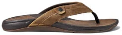 Reef Pacific Leather LE 11 Reef Pacific Leather LE -Schuhgeschäft reef pacific leather le java 9 us 42 eur java 2 1