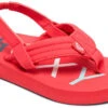 Roxy TW Viste II -Schuhgeschäft roxy tw viste ii berry 21 berry 0